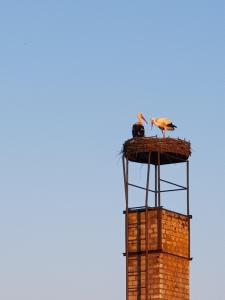 two birds sitting on top of a tower at Ferienhaus Gickelsberg in Hohnstein +2 photos