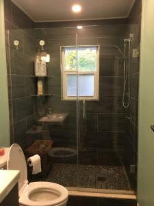 a bathroom with a shower with a toilet and a sink at Splendid Modern Bungalow Suited For Big Groups in London +21 photos
