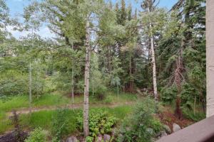 a tree in the middle of a forest at The Charter at Beaver Creek C115 in Beaver Creek