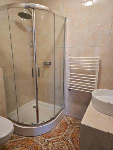 a bathroom with a shower and a toilet and a sink at Pokoje gościnne na terenie Chojnowskiego Parku Krajobrazowego in Ławki