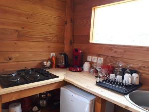 a kitchen counter with a stove and a sink at la ronde des banons in Thoard