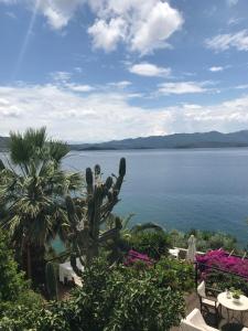 a view of the water from a resort with a cactus at Pounda Paou in Metókhion
