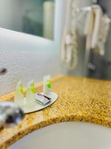 Koupelna v ubytování Vip inn and suites