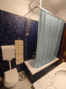 a bathroom with a blue shower curtain and a toilet at La Jolie in Pisa