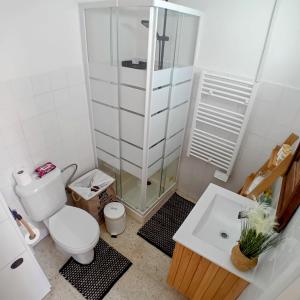 a bathroom with a shower and a toilet and a sink at En Sylikion cottage in Silikou