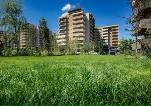 a field of green grass with buildings in the background at SB Nest Studio in Braşov