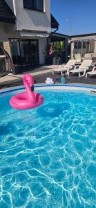 a pink swan float in a swimming pool at Domki-Apartamenty Polanki 2 - Sauna, Jacuzzi, Podgrzewany Basen in Łeba
