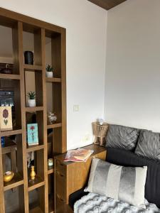 ein Wohnzimmer mit einer Couch und einem Bücherregal in der Unterkunft Old Town's Fairytale in Sarajevo