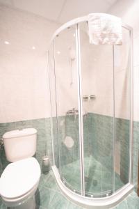 un bagno con doccia e WC di Pirin Sense Studio SPA & FREE Parking a Bansko Altre 12 foto