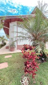 a house with a palm tree in the yard at Casa Santo Sossego in Peruíbe