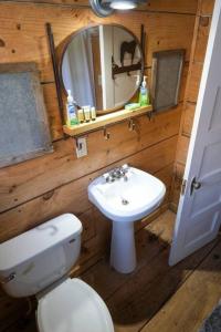 a bathroom with a toilet and a sink and a mirror at The Blues House Yellow Rose Canyon in Mount Enterprise