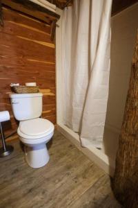 a bathroom with a toilet with a shower curtain at Barn 2 Yellow Rose Canyon in Mount Enterprise
