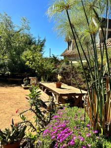 Zahrada ubytování Cabaña los Gansos Playa Bosque Grill Wi-Fi TV