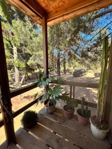 Zahrada ubytování Cabaña los Gansos Playa Bosque Grill Wi-Fi TV