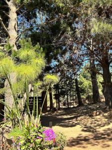 Zahrada ubytování Cabaña los Gansos Playa Bosque Grill Wi-Fi TV