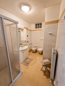 a bathroom with a shower and a toilet and a sink at Da Massimo - Casa Vacanze in Levico Terme +13 photos
