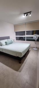 a bedroom with a large bed in a room at Equipado y hermoso Departamento in Santiago +24 photos