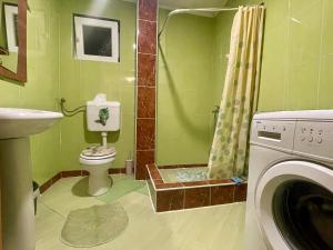 a green bathroom with a toilet and a shower at Apartman Iman in Kulen Vakuf
