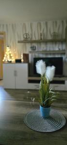 Küche/Küchenzeile in der Unterkunft Ferienhaus Wiese und Meer