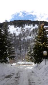 a road covered in snow with trees on the side at Luna Reale Roccaraso apt in Roccaraso