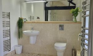 a bathroom with a sink and a toilet and a mirror at Hall Farm Barns in Monk Fryston