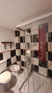 a bathroom with a toilet and a shower at Loft García in Mendoza
