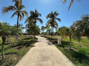 Κήπος έξω από το B Nayar Condominio 403, La Cruz de Huanacaxtle