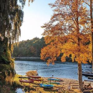 a group of picnic tables on the shore of a lake at The Sky Breeze in Topton