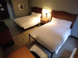 Gallery image of Americourt Hotel and Suites - Elizabethton in Elizabethton