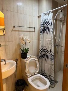 a bathroom with a toilet and a shower at 8 Adriatico Staycation in Manila