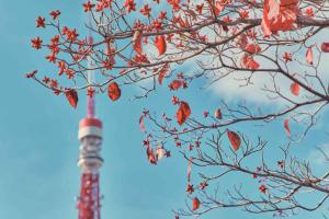 Fotografie z fotogalerie ubytování Shiba Park Hotel v Tokiu
