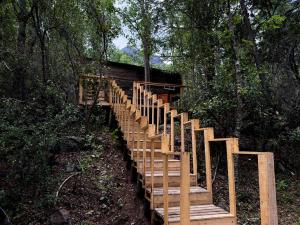 Zahrada ubytování Refugio El Hualo y La Huala del Achibueno