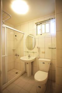 a bathroom with a toilet and a sink and a shower at Lyon B&B in Hualien City