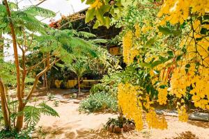 a bunch of yellow flowers hanging from a tree at Casa Bem Te Vi in Amontada +1 photo
