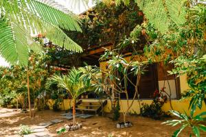 a house with trees and plants in front of it at Casa Bem Te Vi in Amontada
