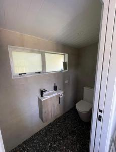a bathroom with a sink and a toilet at Studio at Otama Beach in Opito Bay