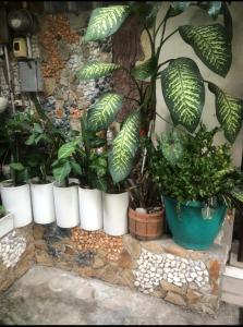 Zahrada ubytování JOHNFONZ BUILDING Affordable Room