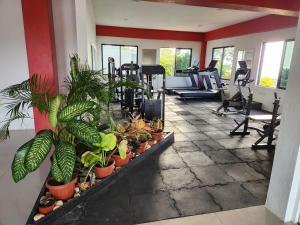 Fitness centrum a/nebo fitness zařízení v ubytování Blissdesiac Ocho Rios Villa