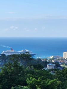 Příroda nedaleko vily