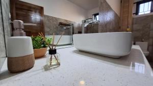 a bathroom with a large white sink on a counter at Equinox Appartment in La Gaulette +5 photos
