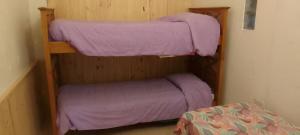 Dos literas en una habitación con sábanas moradas. en Aloha, en Río Gallegos