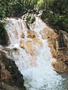 Phong cảnh thiên nhiên gần nhà nghỉ nhỏ
