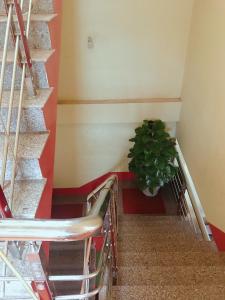Φωτογραφία από το άλμπουμ του Nhà nghỉ Tráng Kìm σε Quản Bạ