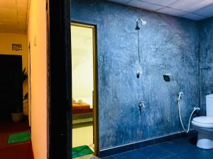 a bathroom with a toilet and a blue wall at Solo's Shelter Hostel Udawalawa in Udawalawe +66 photos