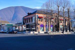 a building on a street with a mountain in the background at Central Hostel in Sheki