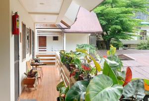 balkon z grupą roślin na budynku w obiekcie UrbanView BNKY Bed and Breakfast Palawan by RedDoorz w mieście El Nido