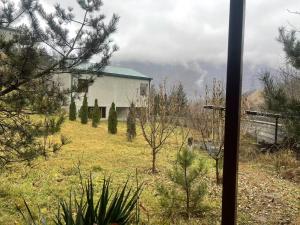 Imagen de la galería de 岚山驿, en Dilijan