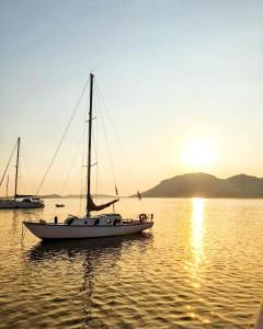 Příroda nedaleko ubytování na lodi