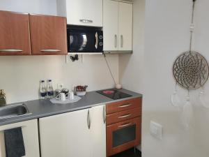 Kuchyň nebo kuchyňský kout v ubytování Cozy & economic studio