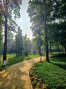 Zahrada ubytování Hotel Sonar Bangla Joypur Forest